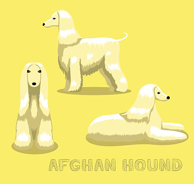 狗阿富汗猎犬卡通矢量插图