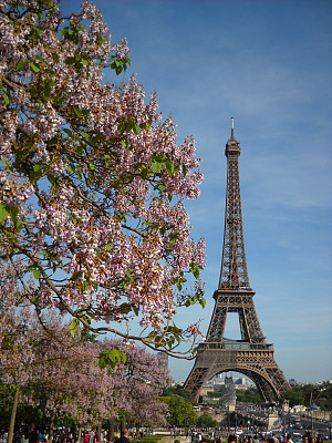 法国巴黎春天的埃菲尔铁塔
