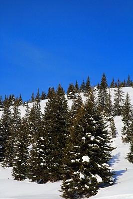 冬季奥地利萨尔巴赫马戏团滑雪胜地