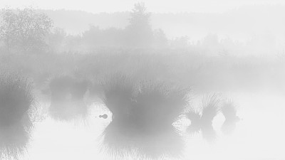 沼泽或沼泽上的平静和巨大的雾蒙蒙的日落