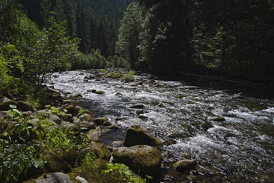 杰弗逊山荒野地