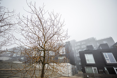 丹麦，哥本哈根，阿玛格，Ørestaden，冬天的一个多雾的早晨