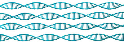 DNA螺旋结构。