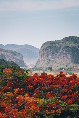 古巴比纳莱斯谷的风景