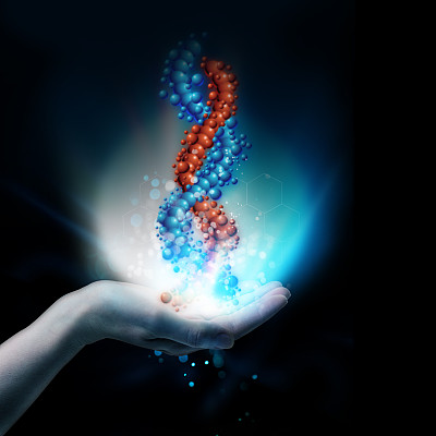 DNA的概念
