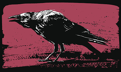 乌鸦插图在grunge风格