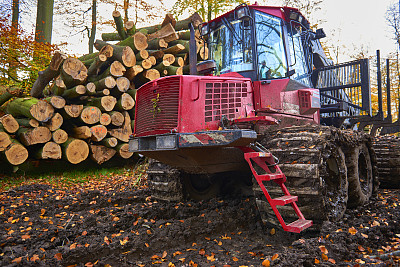 森林里的拖拉机 森林里的拖拉机