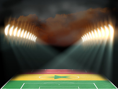足球场与塞内加尔国旗纹理的领域