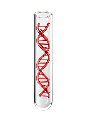 试管和dna