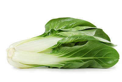 牛皮菜