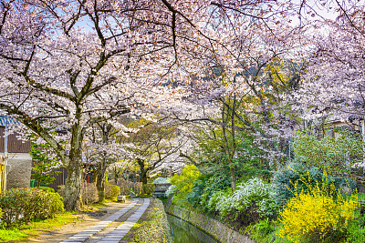 京都市
