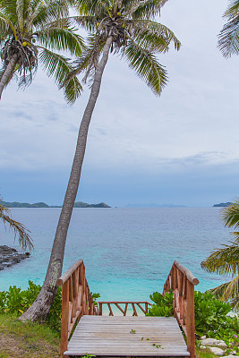 热带斐济。
