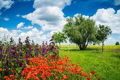 浪漫多彩的景观