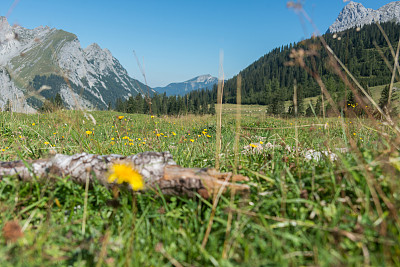 欧洲阿尔卑斯山的山地全景草地