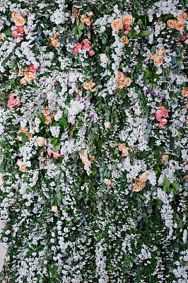 花卉装饰。装饰墙的花朵。花店主题,花