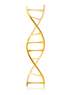 人类DNA分子片段的金标准