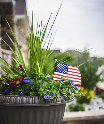 花卉和美国国旗的花园种植美国节日