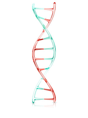 人类DNA分子片段，3d演示