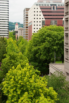 波特兰，俄勒冈州，市中心建筑