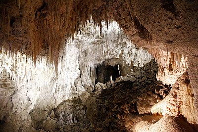 Waitomo Caves