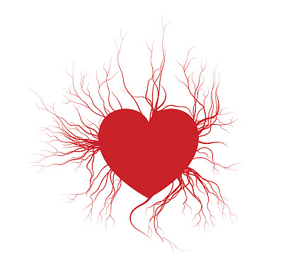 人类用心脏血管，红色的爱设计血管。