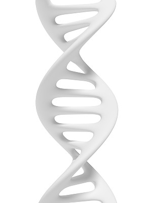 简化DNA链螺旋结构