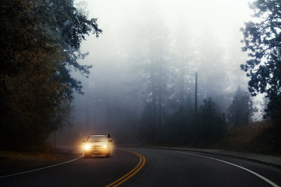 华盛顿十月的大雾。狗从移动的汽车里往外看