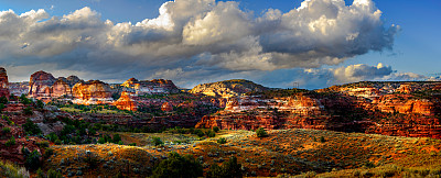 Escalante