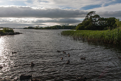 Lough Leane