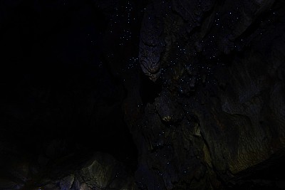 Waitomo Caves