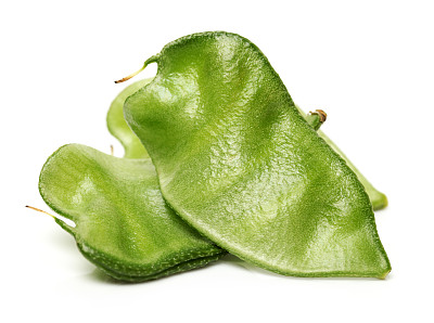 豆