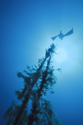 浮潜
