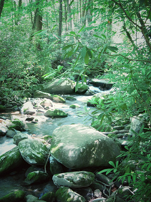 大烟山国家公园小溪，小溪，小溪，瀑布