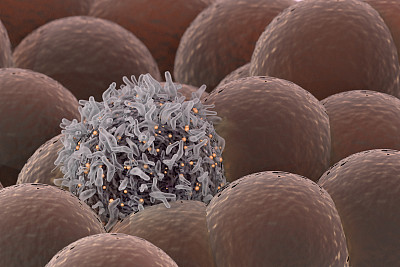 健康细胞中的癌细胞