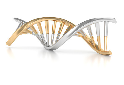 金和银的DNA结构