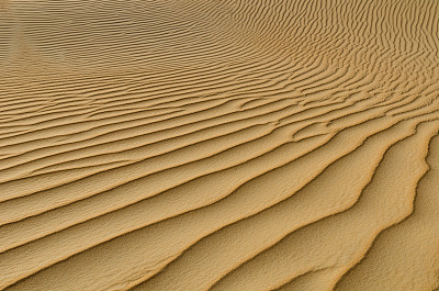 阿拉伯联合酋长国沙漠沙丘的结构