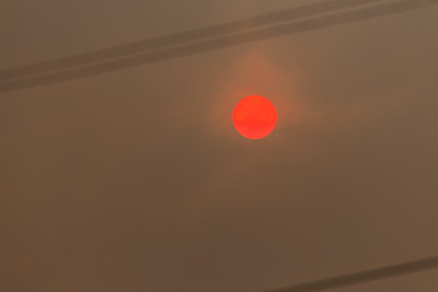 太阳在森林大火和烟雾
