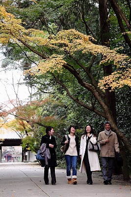 旅途