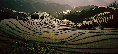 龙胜