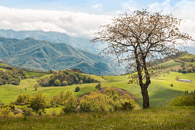 美丽的意大利乡村景观在连绵的山丘和蓝天