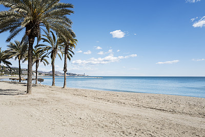 海岸边的棕榈树，海滩和蓝天
