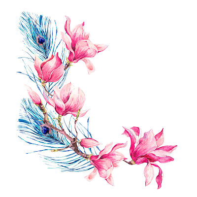 孔雀花图片大全 孔雀花设计素材 孔雀花模板下载 孔雀花图库 昵图网soso Nipic Com
