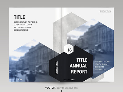 传单,小册子,计划书,报告,羽绒被,绘画插图,计算机制图,计算机图形学,书页,现代