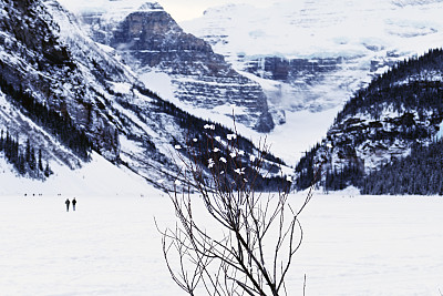 加拿大亚伯达省班夫国家公园的路易斯湖被冰雪覆盖