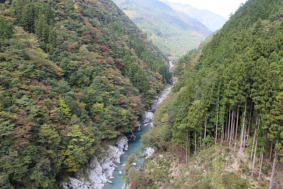 德岛县