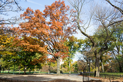 文学道
