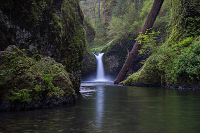 Punchbowl Falls