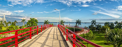 林荫路