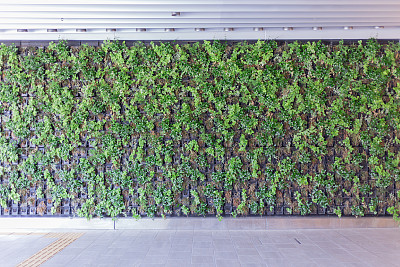 花园背景图片大全 花园背景设计素材 花园背景模板下载 花园背景图库 昵图网soso Nipic Com