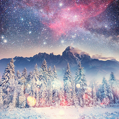 《星际迷航》里冬天的树林。喀尔巴阡山,乌克兰,欧洲